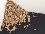2100 corks spanning 21years, painted with bright colours
